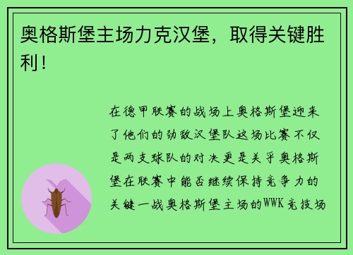 奥格斯堡主场力克汉堡，取得关键胜利！